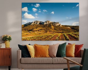 Vineyards near Maury, Eastern Pyrenees by Hilke Maunder