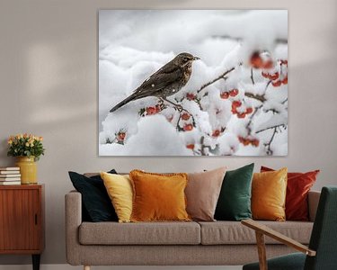 Aperçu de la chambre