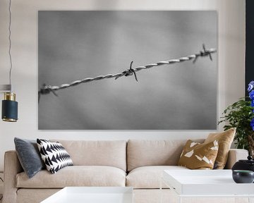 Minimalist barbed wire by Erwin Huizing