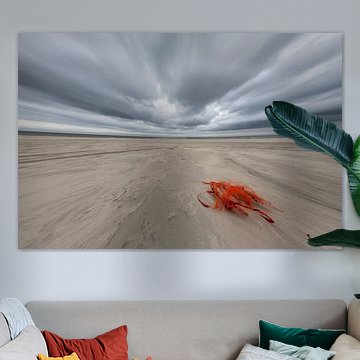 Dynamisch Terschelling