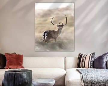 Atmospheric portrait of Fallow deer by Wietse de Graaf