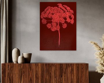 Hogweed | Drawing | Plant | Pink by Jansje Kamphuis