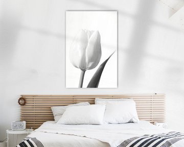 Witte tulp in zwart wit van Gonnie van de Schans