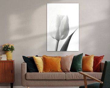 Witte tulp in zwart wit van Gonnie van de Schans