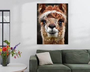The alpaca by Maickel Dedeken
