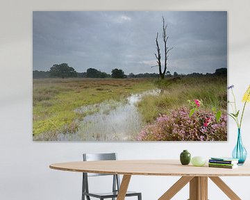 Dreigende lucht boven de bloeiende heide