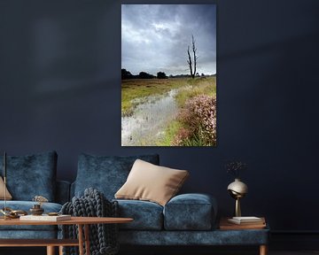 Dreigende lucht boven de bloeiende heide