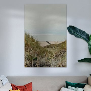 Winter picture of beach Zealand