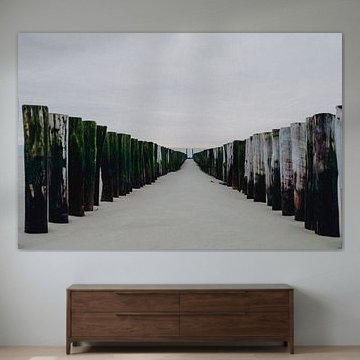 Pile heads on the beach in Zeeland