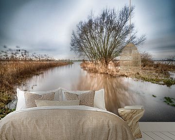 Auf den Wassern des Rheins von Mark Bolijn