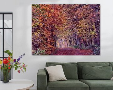 Autumn in the Haard