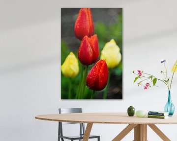 Tulpen in bloei van Hilke Maunder