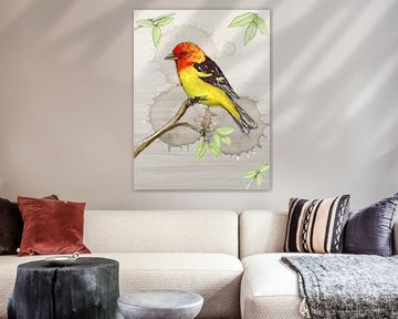 Western tanager watercolour and ink drawing by Bianca Wisseloo