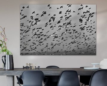 Vogelvlucht (zwart-wit fotografie) van Fotografie Jeronimo
