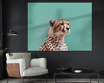 Elegance in Speed - The Profile of a Cheetah by Eva Lee