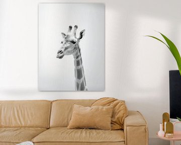 Vue d'ensemble gracieuse - La girafe en monochrome sur Eva Lee