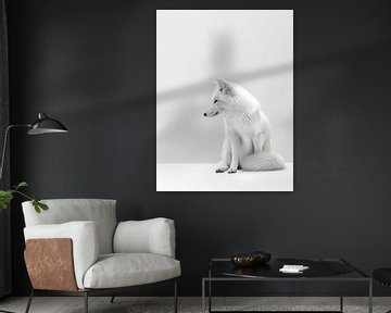 Stille in Weiß - Das edle Profil eines weißen Fuchses von Eva Lee
