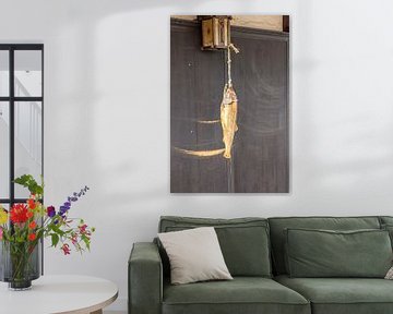 Fish drying on a house