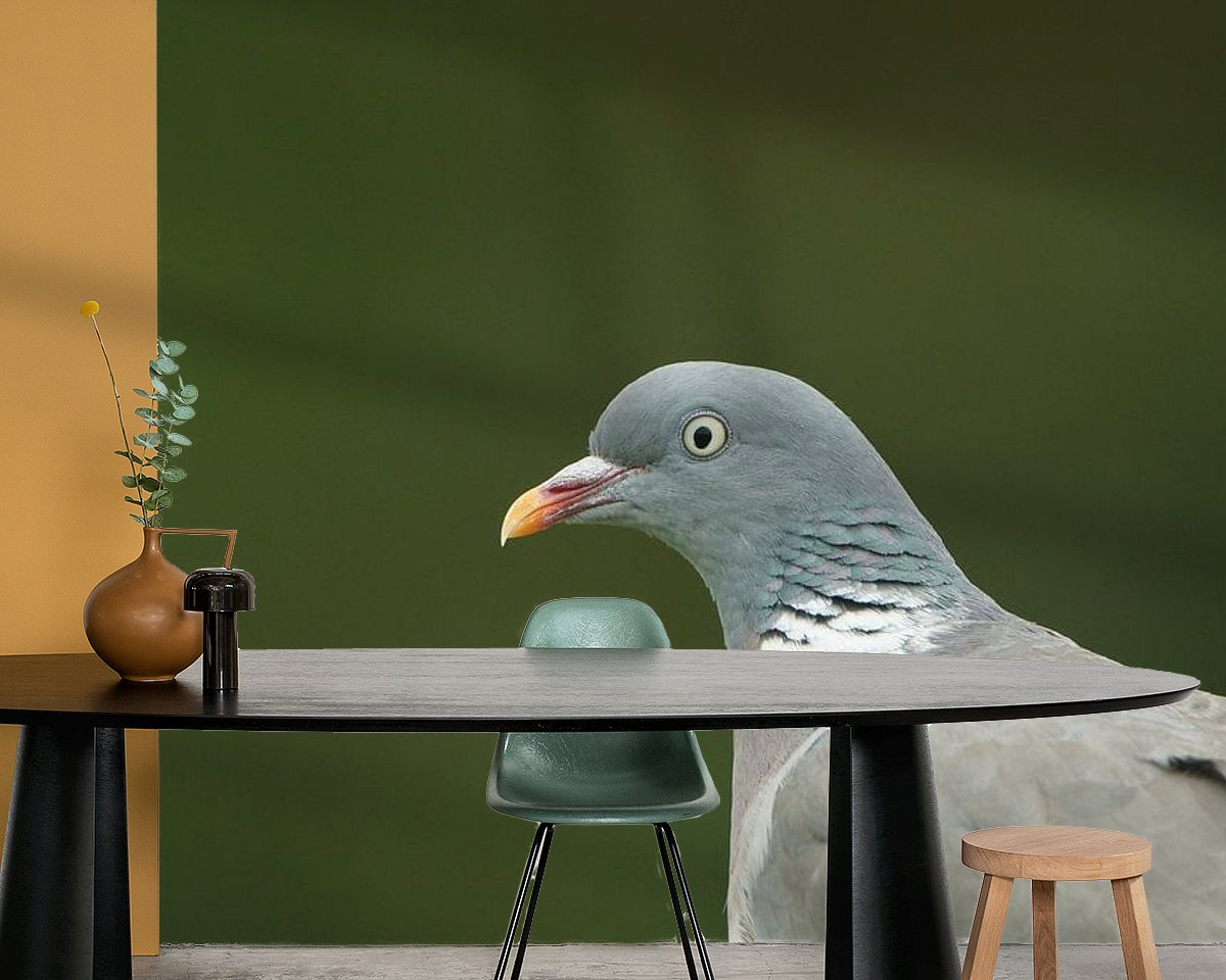 Raumvorschau