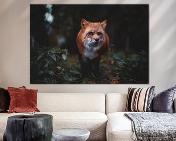 Red fox in the forest