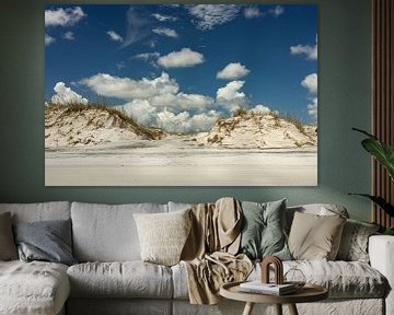 Dune at Anastasia Beach near Saint Augustine in Florida by Alexander Ließ