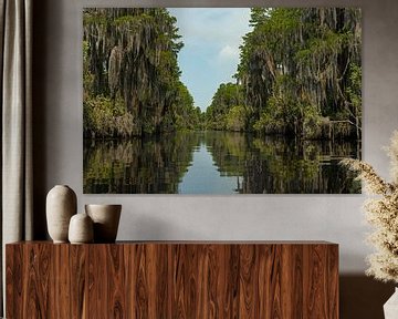 Landschap in het Okefenokee moeras in Florida van Alexander Ließ