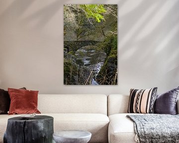 Alte Steinbrücke über einen Bach in Schottland von Sylvia Photography