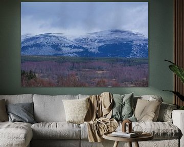 Prachtig gekleurd landschap met besneeuwde bergen in Schotland van Sylvia Photography