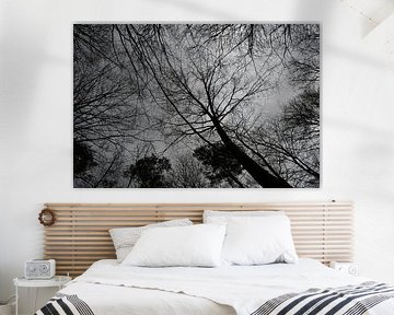 Dancing beans by Judith van Stroe