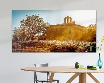 Schaapskudde bij kerkruïne, Kerk van de Heiligen Lorentino en Pergentino in Cosona, Val d'Orcia, Toscane, Italië. van Jaap Bosma Fotografie