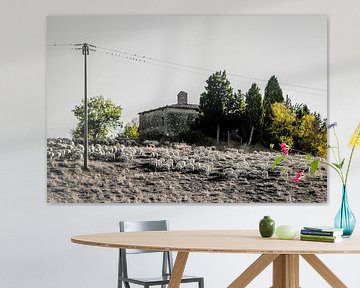 Troupeau de moutons à Church Ruin sur Jaap Bosma Fotografie