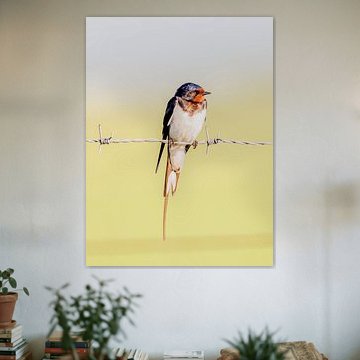 Genießen Sie die Frühlingssonne