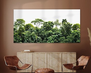 Tropical Rainforest, Bring Nature Into Your Home (La forêt tropicale, faites entrer la nature dans votre maison), impression d'art sur Vlindertuin Art