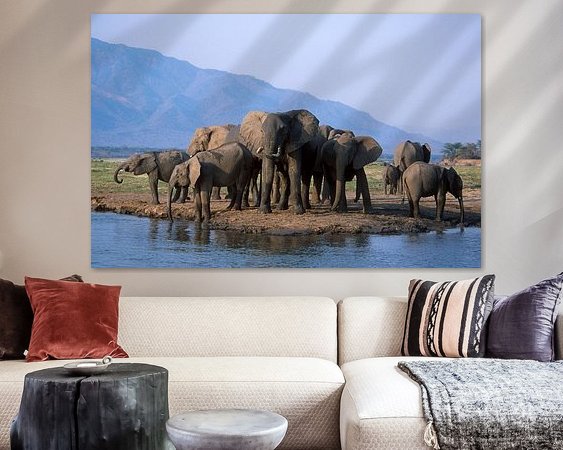 Aperçu de la chambre