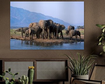 Elefanten in Afrika von Paul van Gaalen, natuurfotograaf