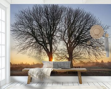 Bomen op Lentevreugd