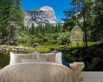 Yosemite mirror lake by Ilya Korzelius