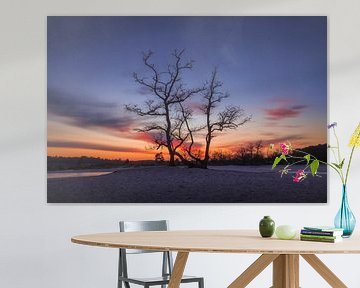 Arbre avec ciel coloré Loonse en Drunense Duinen sur Zwoele Plaatjes