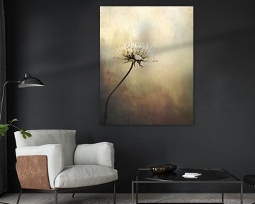 Zeeuws knoopje, minimalisme van Studio Allee