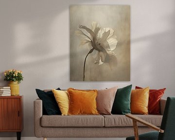 Delicate white flower with unusual light by Studio Allee