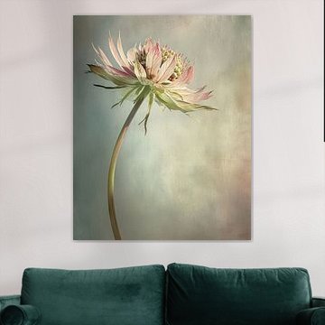 Zeeuws knoopje, minimalisme van Studio Allee