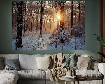 Magisch licht in het winterse bos