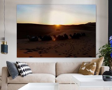 Lever de soleil dans le désert où le soleil salue les chameaux dans les dunes de sable.