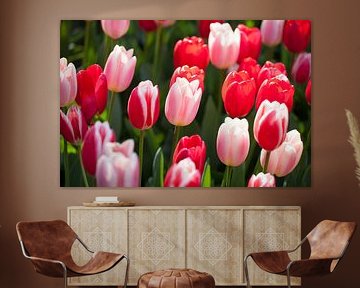 roze tulpen van Karin Keesmaat Kijk-Kunst