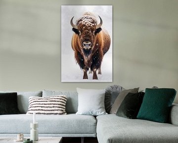 Portrait de bison sur haroulita