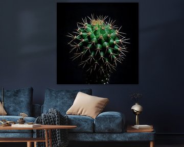 Kaktus Porträt von TheXclusive Art