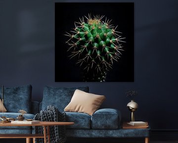 Portrait de cactus sur TheXclusive Art