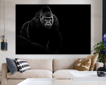 Gorilla von foto lica