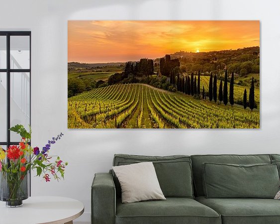 Aperçu de la chambre