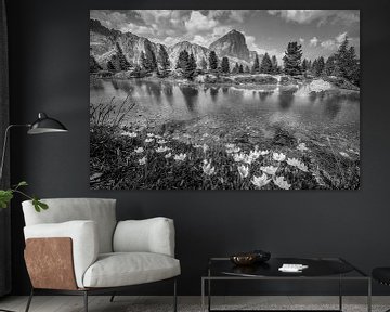 Bergmeer in de Dolomieten met prachtige weerspiegeling in zwart-wit van Manfred Voss, Schwarz-weiss Fotografie